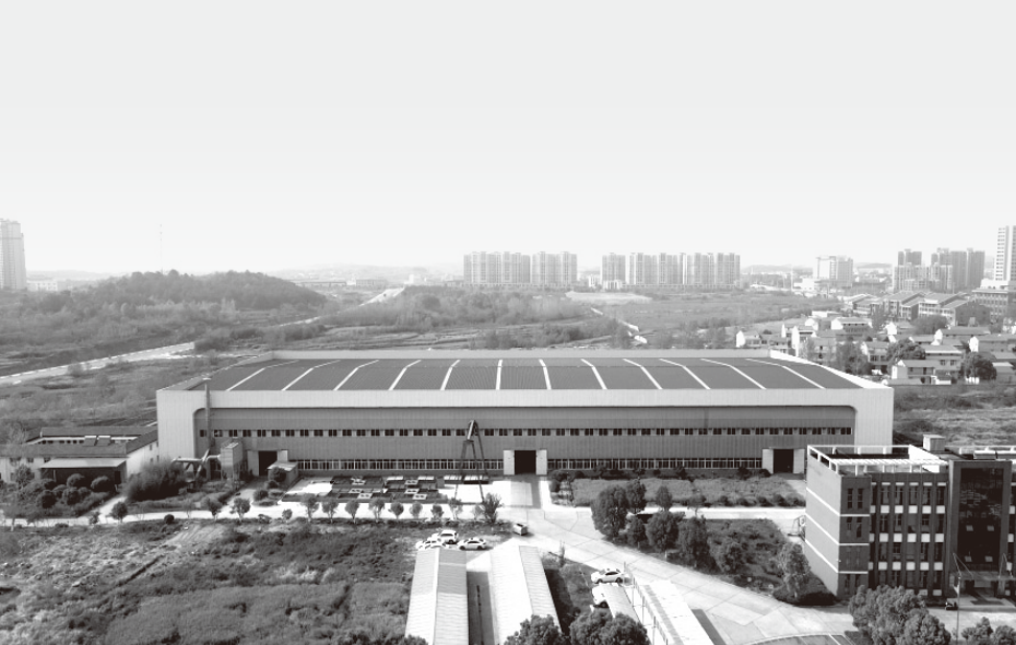 Company Profile