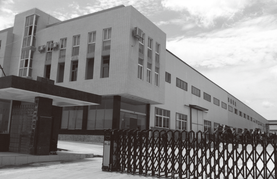 Company Profile